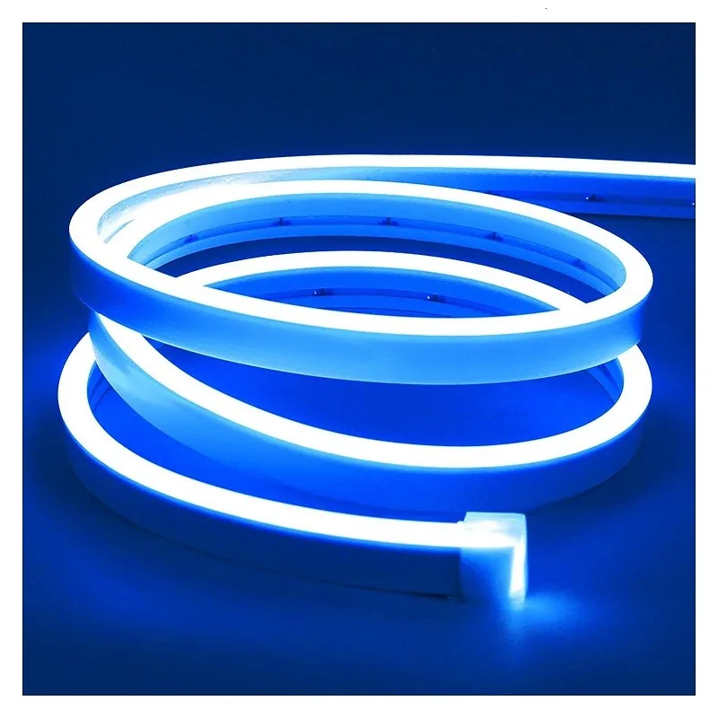 Tαινία Neon Flex 5m Μπλε