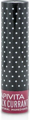 Apivita Lip Care Black Currant Ενυδατικό Στικ Χειλιών με Φραγκοστάφυλο 4.4gr