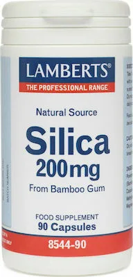 Lamberts Silica (90caps) - Συμπλήρωμα Διατροφής για Υγεία Αρθρώσεων & Δέρματος