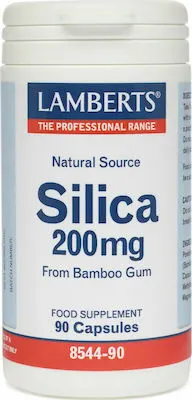 Lamberts Silica (90caps) - Συμπλήρωμα Διατροφής για Υγεία Αρθρώσεων & Δέρματος