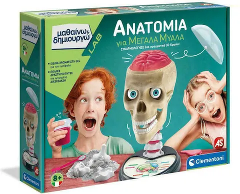AS Ανατομία για Μεγάλα Μυαλά STEM Εργαστήριο Μαθαίνω & Δημιουργώ για 8+ Ετών